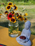 Summer Solstice Gathering