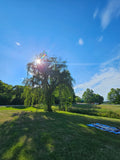 Summer Solstice Gathering