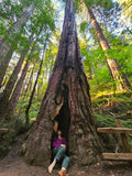 Peace in the Woods