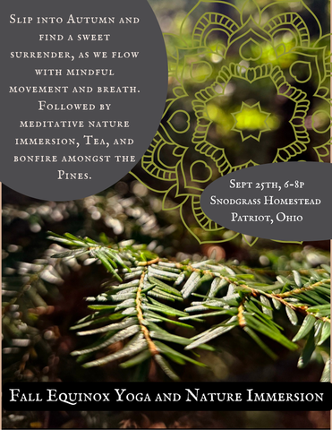 Fall Equinox Yoga & Nature Immersion